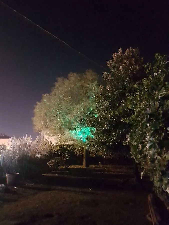 Alle Vecchie Mura Bed & Breakfast Pistoia